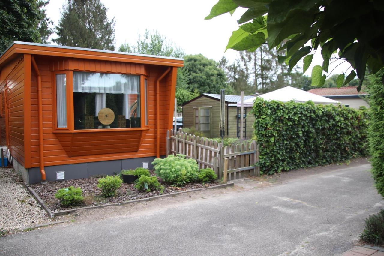 Veluwe Park Reewold Chalet Eclipse Putten Εξωτερικό φωτογραφία