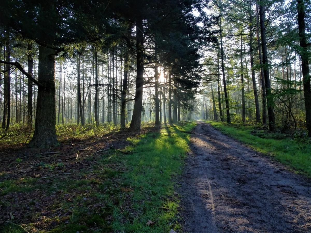 Veluwe Park Reewold Chalet Eclipse Putten Εξωτερικό φωτογραφία